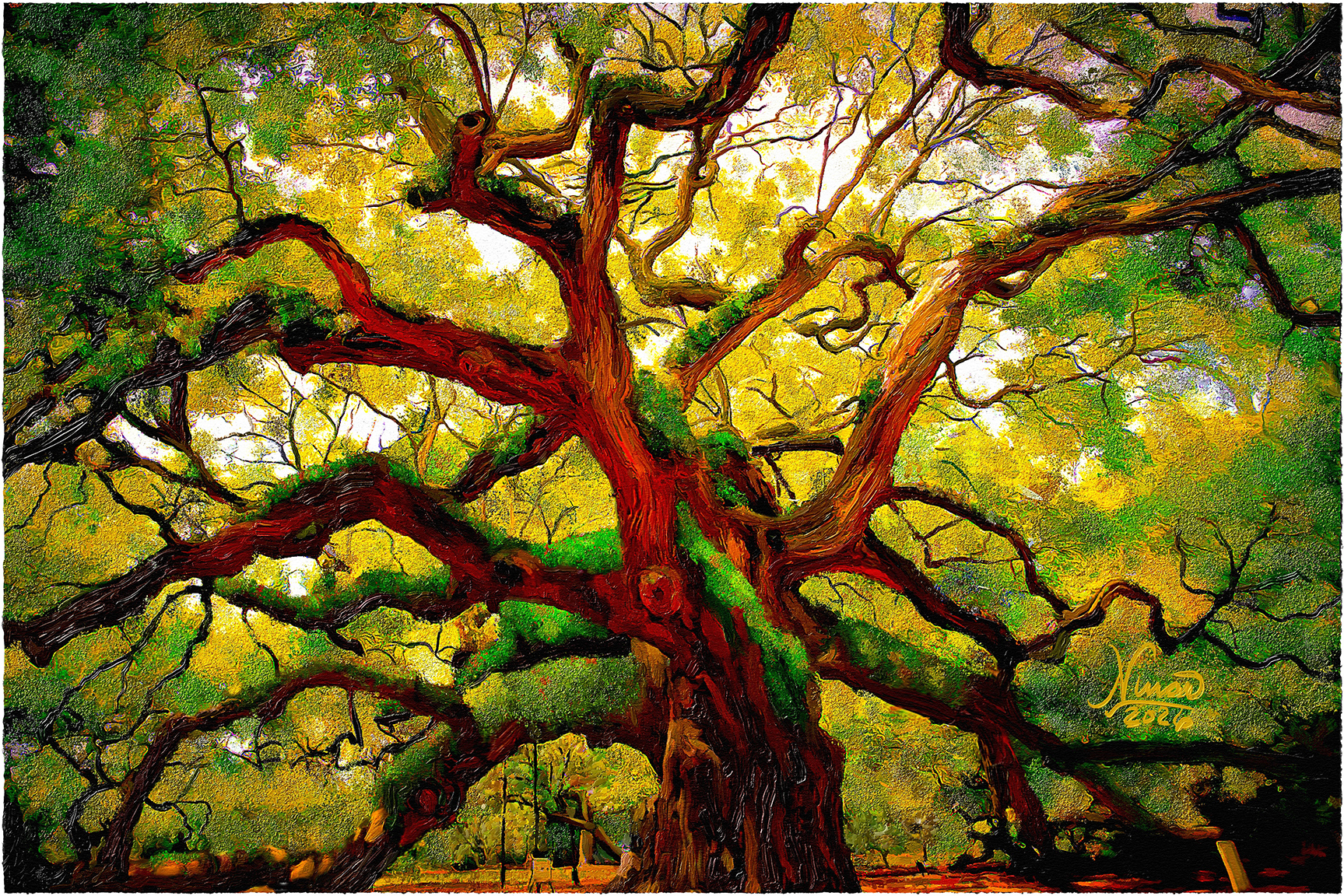 The Fortune Tree 